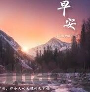 室内足球比分-室内足球比分，小空间里的大精彩与数据密码