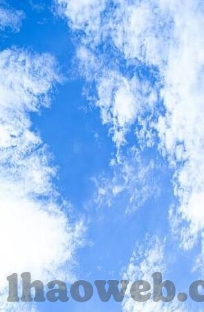 亚泰足球最新比分-亚泰足球最新比分揭晓，逆境中绽放的坚韧之花