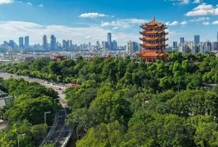 足球比分4比2-绿茵烽火，4比2背后的激情与荣耀