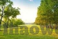 足球比分观看-实时掌握赛场风云，足球比分观看的多元体验与深度解析