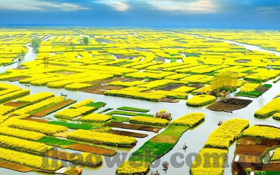 足球即时比分zquu-足球即时比分，一场数字背后的热血与激情